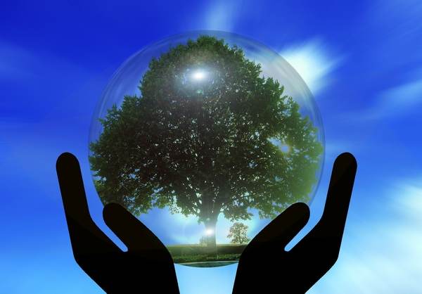 BSTDB a aprobat Strategia privind Schimbările Climatice